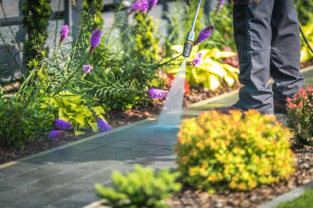 Best Gutter Cleaning  in , CO