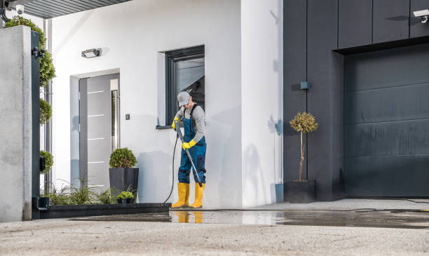 Best Sidewalk and Walkway Cleaning  in , CO